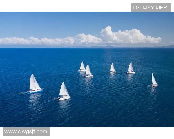 罗本身价分析：从职业生涯到市场价值的全面解读与未来展望