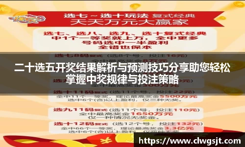 二十选五开奖结果解析与预测技巧分享助您轻松掌握中奖规律与投注策略